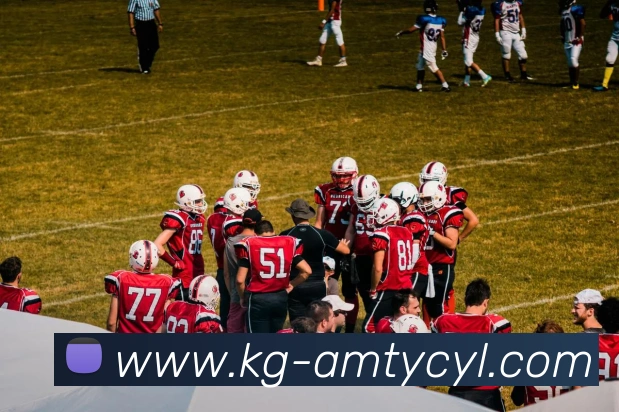 App Interface Preview