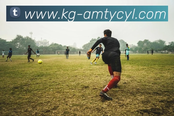 太阳城娱乐APP 封面图